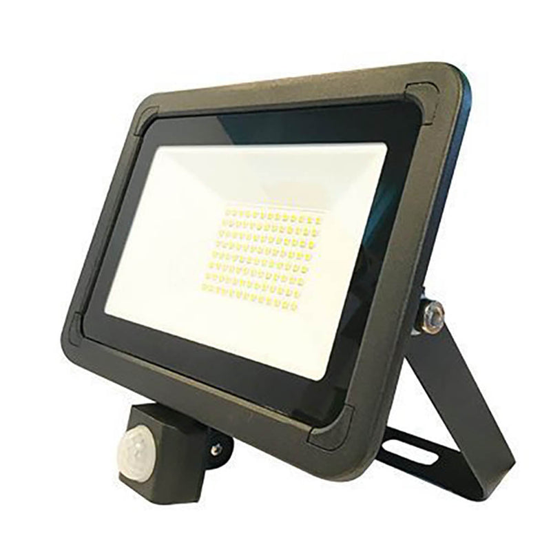 50W with PIR LED Floodlight